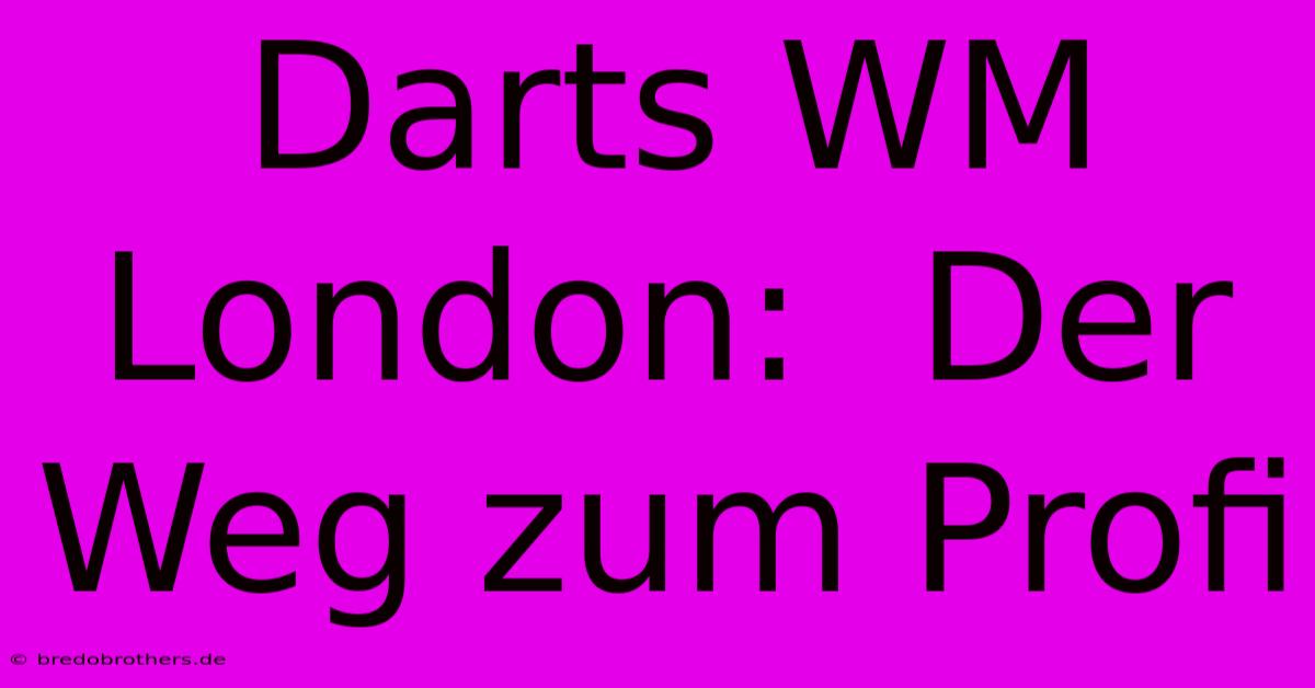 Darts WM London:  Der Weg Zum Profi