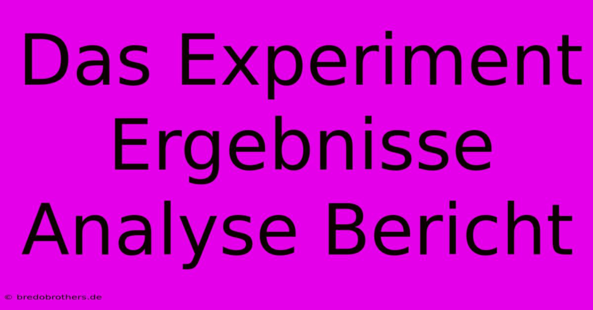 Das Experiment Ergebnisse Analyse Bericht