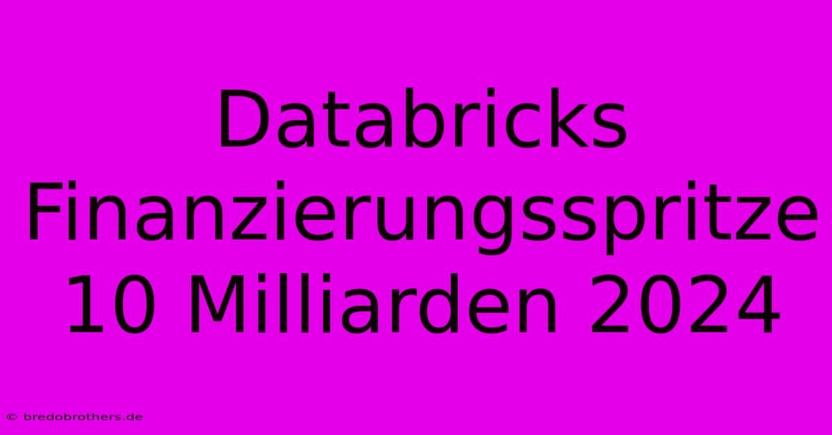 Databricks Finanzierungsspritze 10 Milliarden 2024