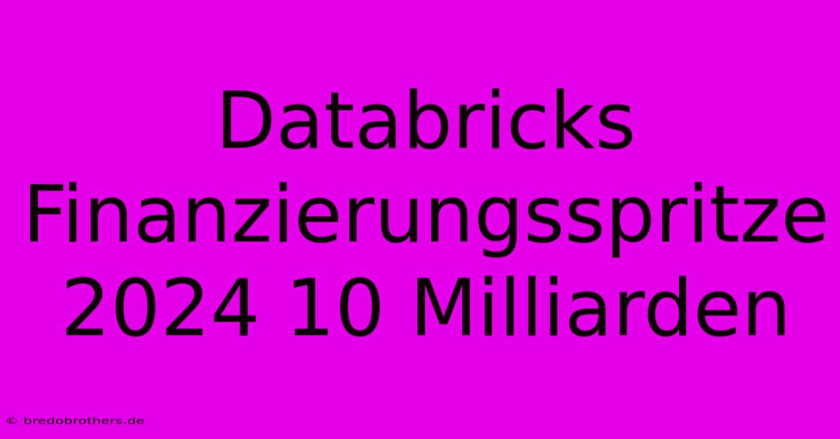 Databricks Finanzierungsspritze 2024 10 Milliarden