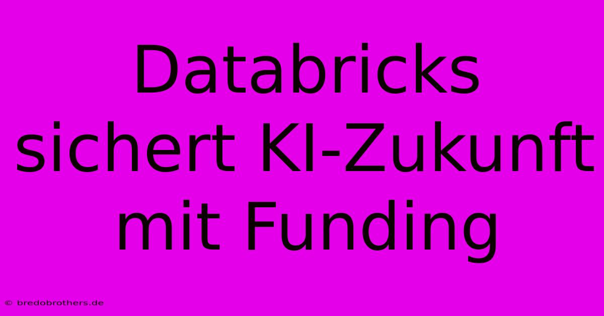 Databricks Sichert KI-Zukunft Mit Funding