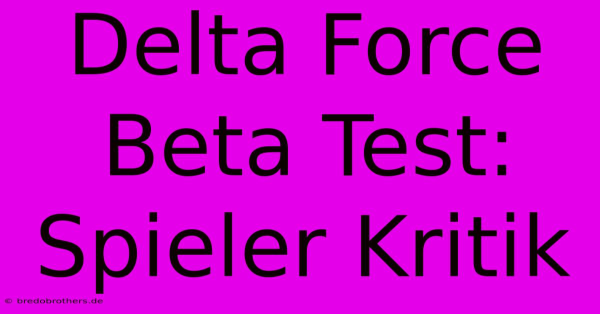 Delta Force Beta Test: Spieler Kritik