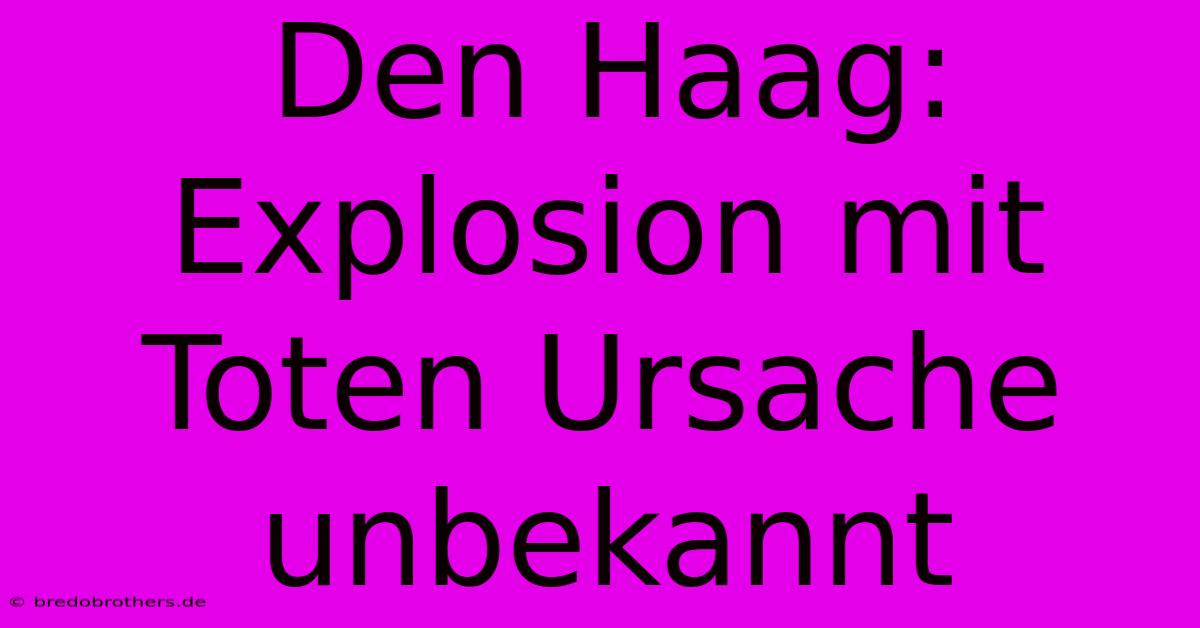 Den Haag:  Explosion Mit Toten Ursache Unbekannt