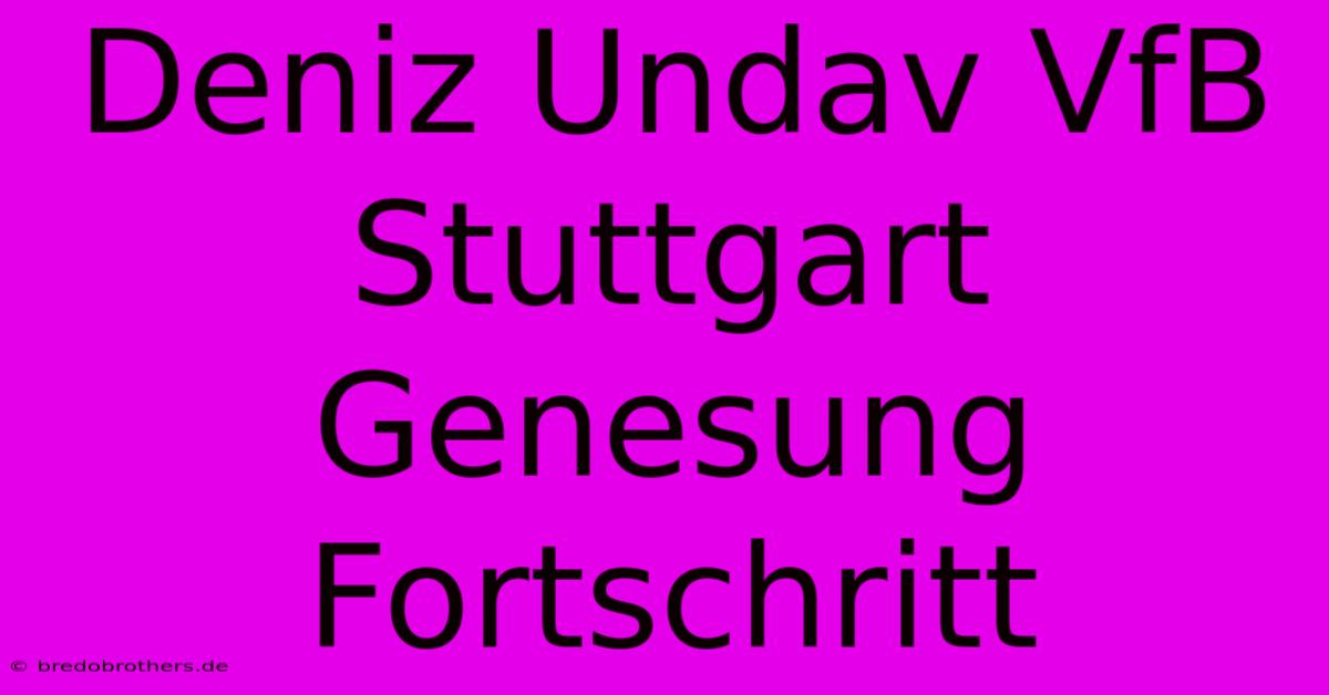 Deniz Undav VfB Stuttgart Genesung Fortschritt