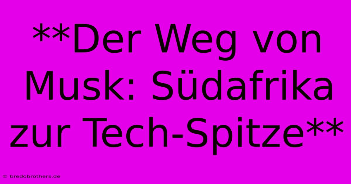 **Der Weg Von Musk: Südafrika Zur Tech-Spitze**