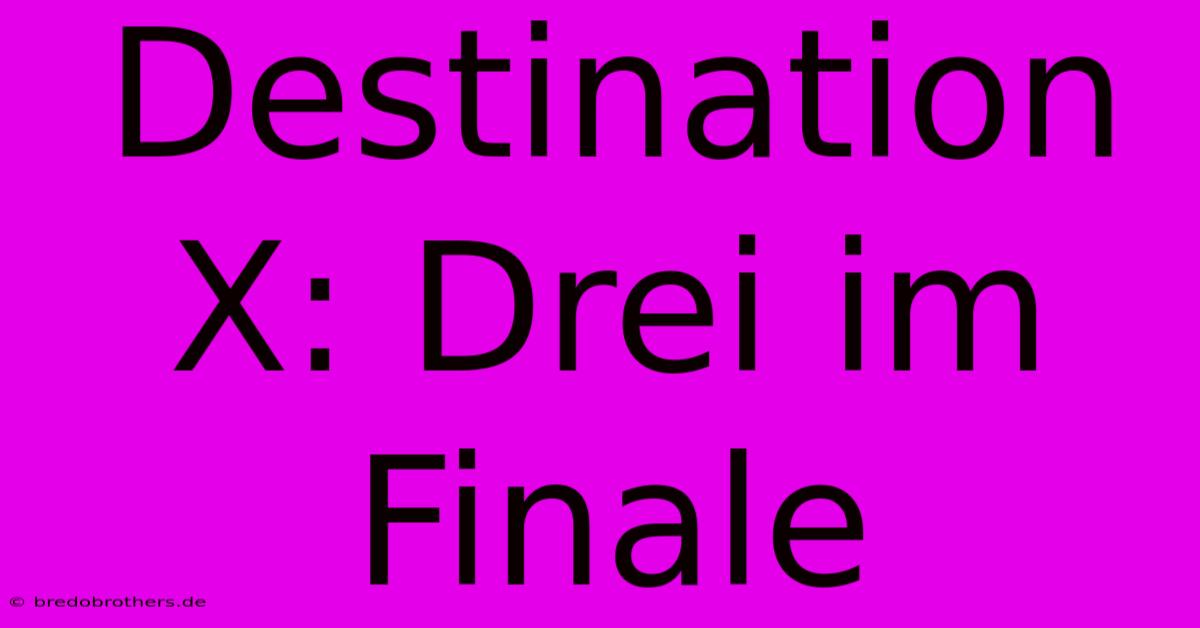 Destination X: Drei Im Finale