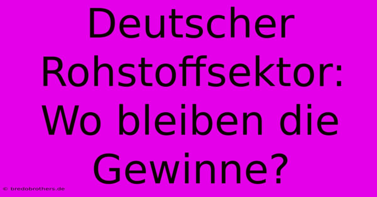 Deutscher Rohstoffsektor:  Wo Bleiben Die Gewinne?