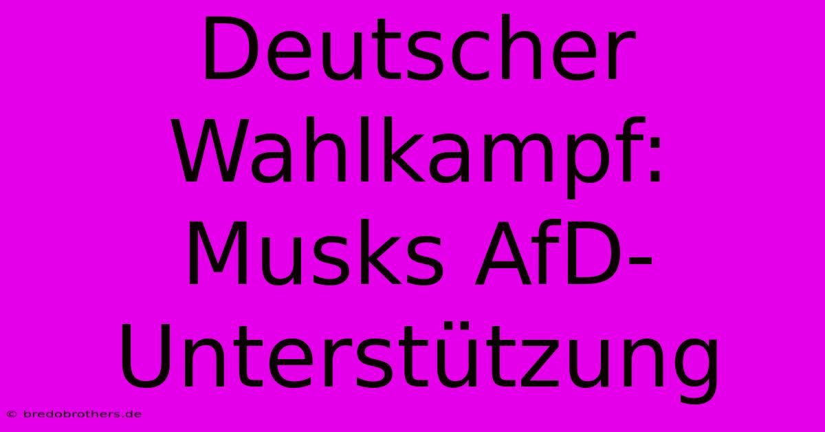 Deutscher Wahlkampf: Musks AfD-Unterstützung