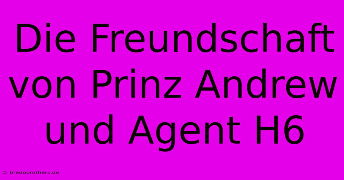 Die Freundschaft Von Prinz Andrew Und Agent H6