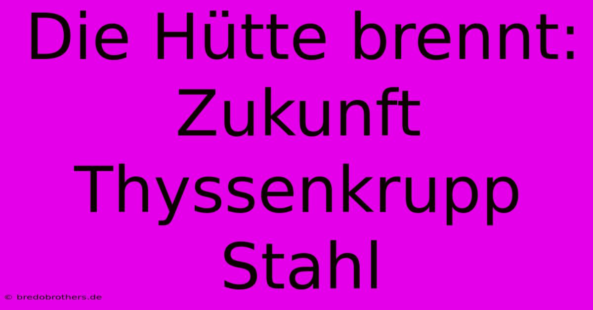 Die Hütte Brennt: Zukunft Thyssenkrupp Stahl