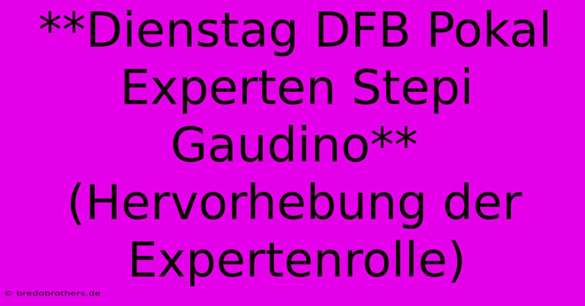 **Dienstag DFB Pokal Experten Stepi Gaudino** (Hervorhebung Der Expertenrolle)