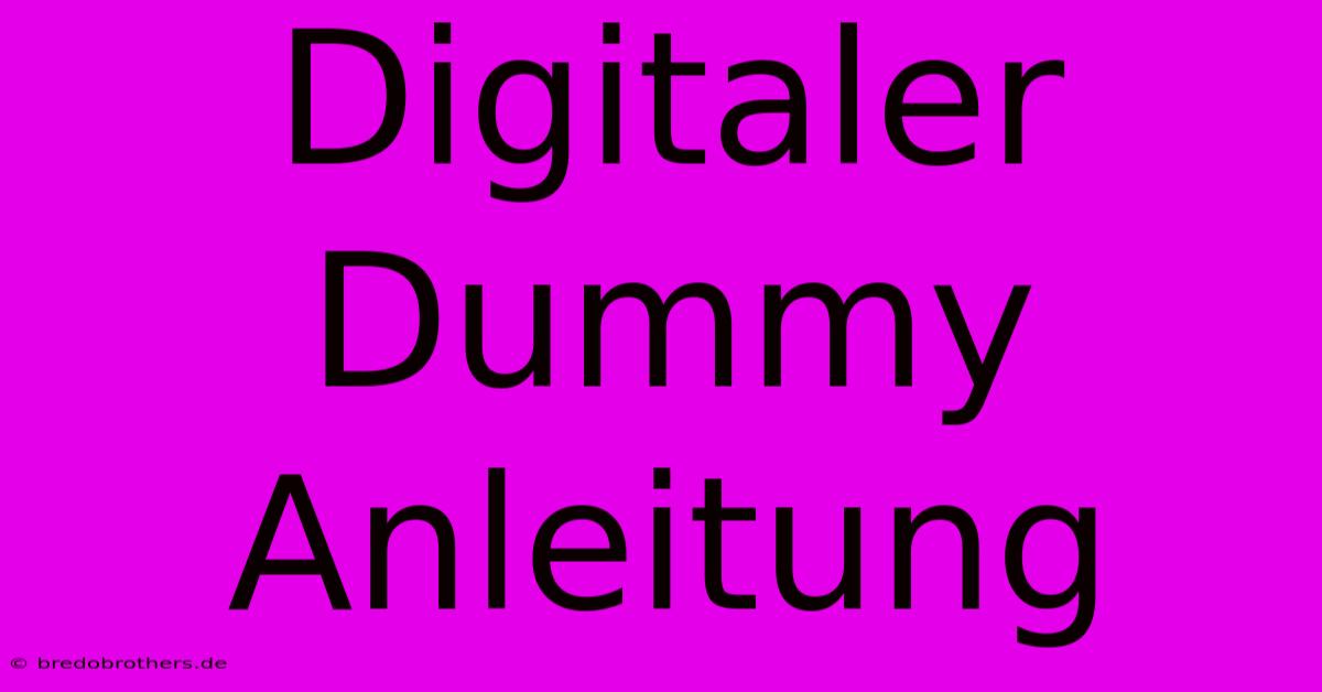 Digitaler Dummy  Anleitung