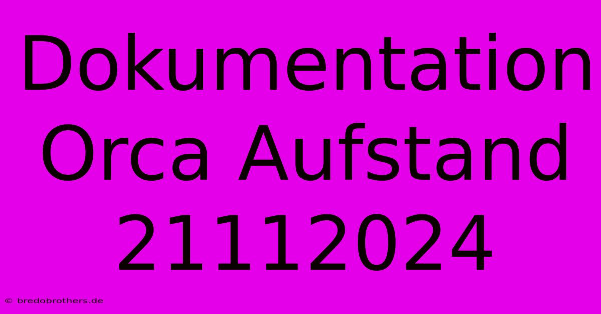 Dokumentation Orca Aufstand 21112024