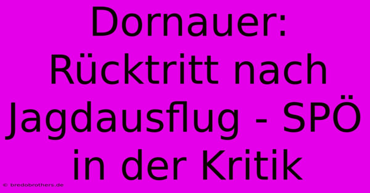 Dornauer: Rücktritt Nach Jagdausflug - SPÖ In Der Kritik