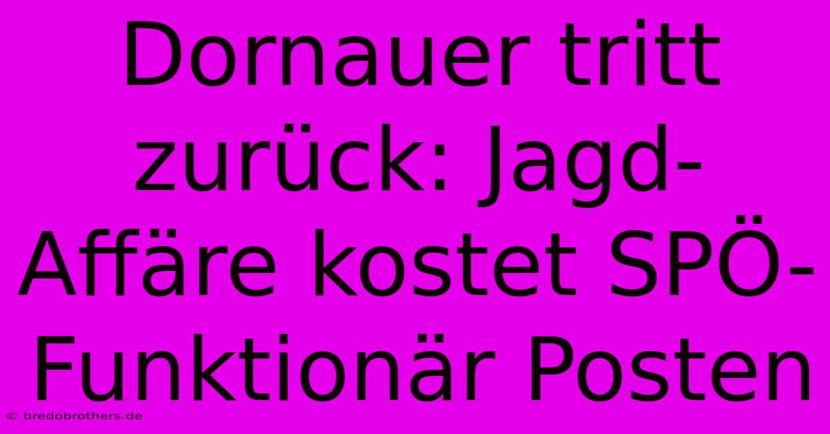 Dornauer Tritt Zurück: Jagd-Affäre Kostet SPÖ-Funktionär Posten