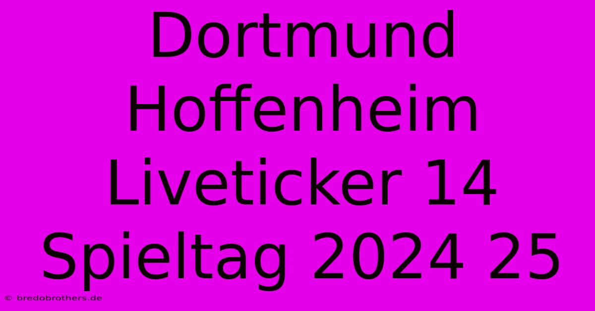 Dortmund Hoffenheim Liveticker 14 Spieltag 2024 25