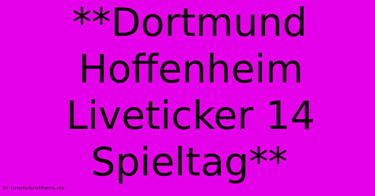 **Dortmund Hoffenheim Liveticker 14 Spieltag**