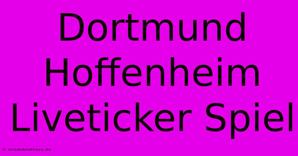 Dortmund Hoffenheim Liveticker Spiel