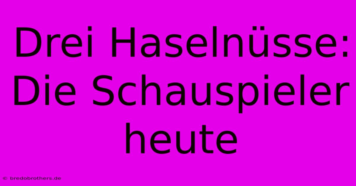 Drei Haselnüsse: Die Schauspieler Heute