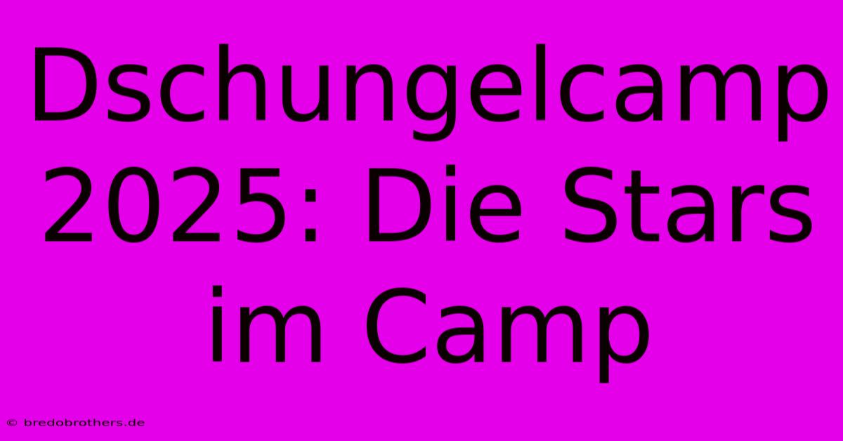 Dschungelcamp 2025: Die Stars Im Camp