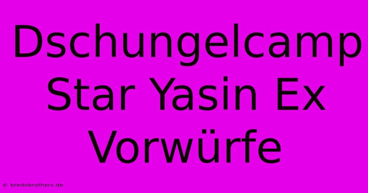 Dschungelcamp Star Yasin Ex Vorwürfe