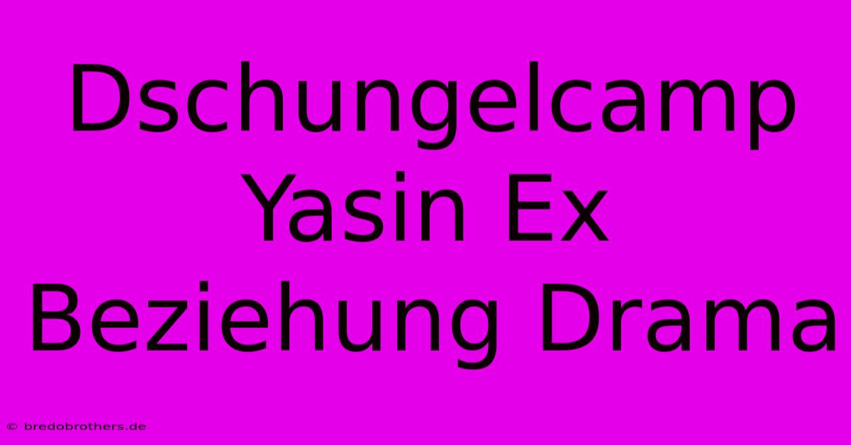 Dschungelcamp Yasin Ex Beziehung Drama