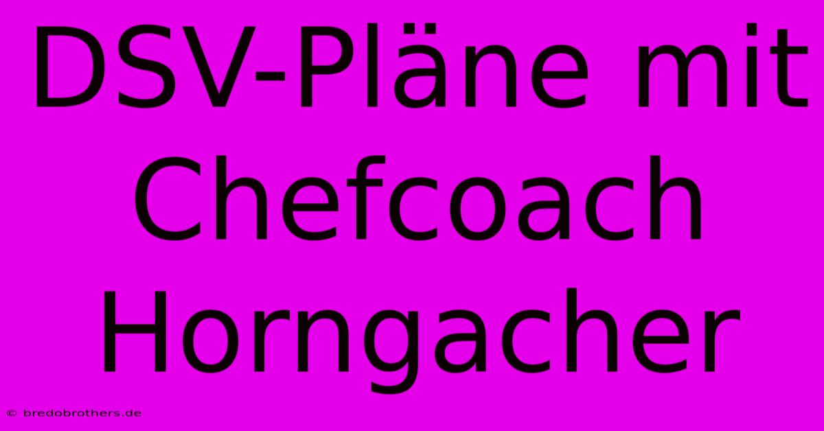 DSV-Pläne Mit Chefcoach Horngacher