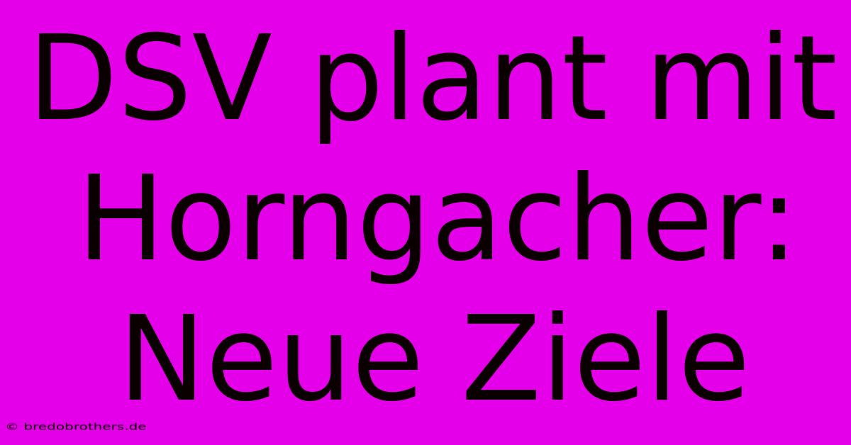 DSV Plant Mit Horngacher: Neue Ziele