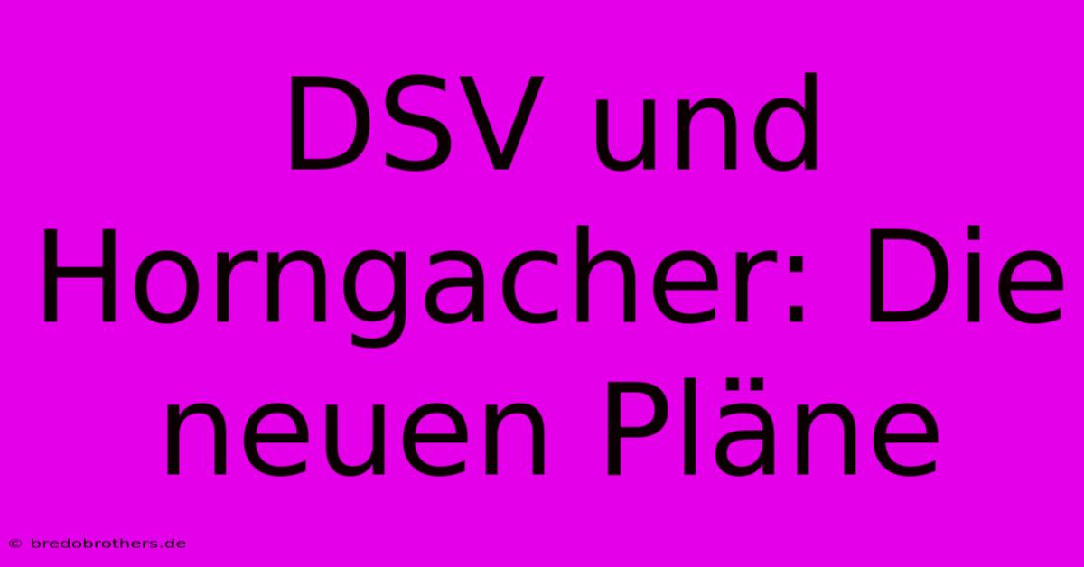 DSV Und Horngacher: Die Neuen Pläne