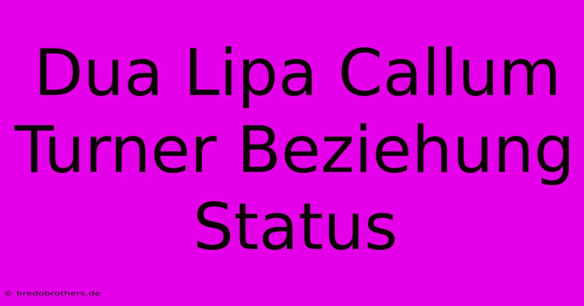 Dua Lipa Callum Turner Beziehung Status