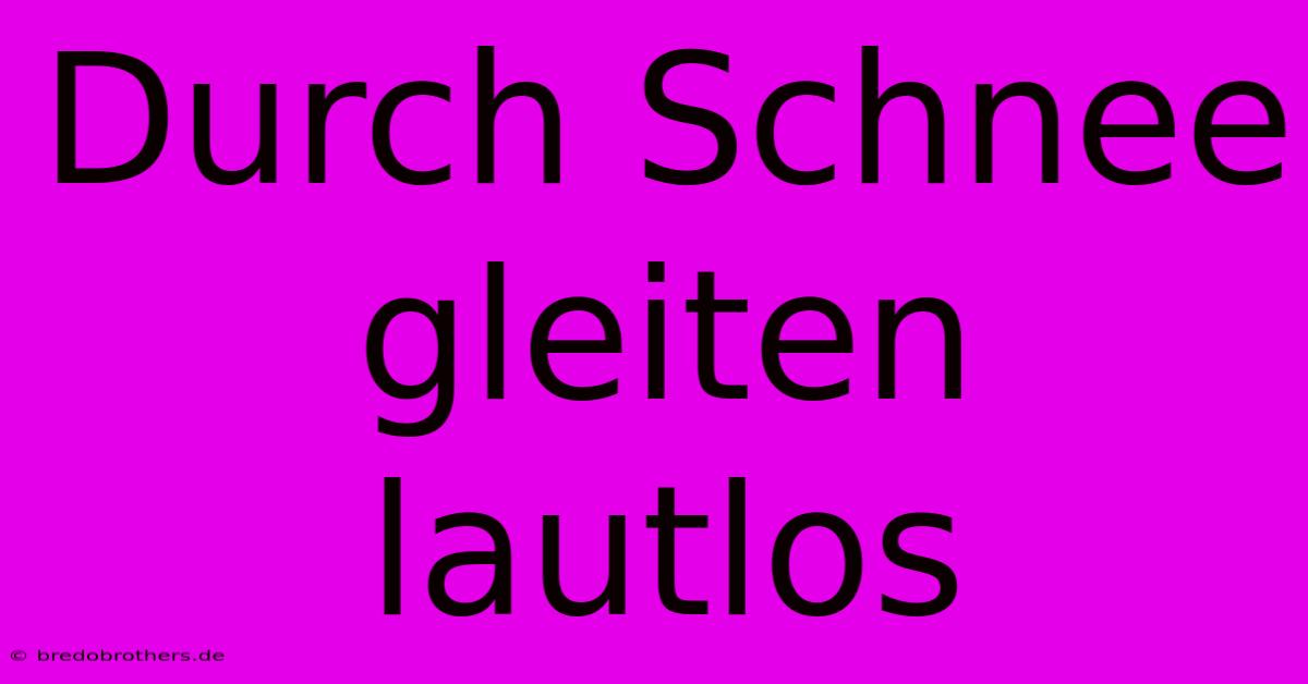 Durch Schnee Gleiten Lautlos