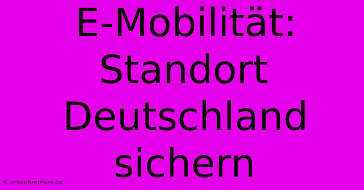 E-Mobilität: Standort Deutschland Sichern