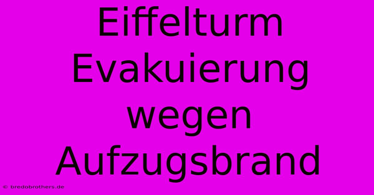 Eiffelturm Evakuierung Wegen Aufzugsbrand