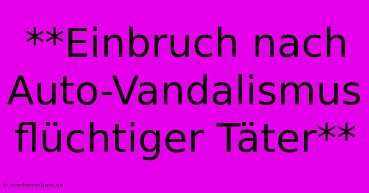 **Einbruch Nach Auto-Vandalismus Flüchtiger Täter**