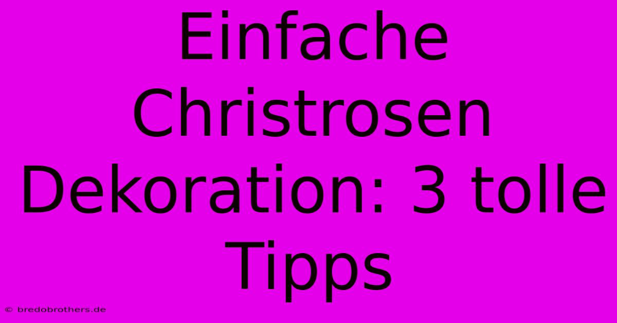 Einfache Christrosen Dekoration: 3 Tolle Tipps