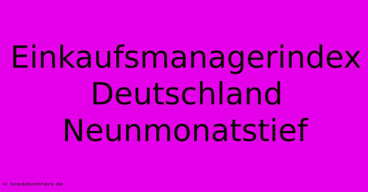 Einkaufsmanagerindex Deutschland  Neunmonatstief