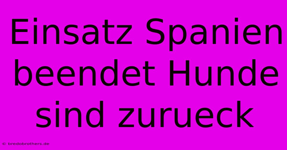 Einsatz Spanien Beendet Hunde Sind Zurueck