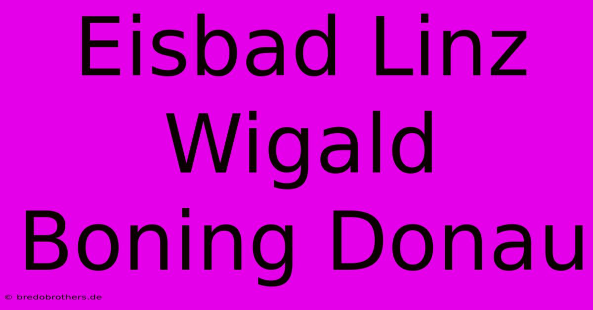 Eisbad Linz Wigald Boning Donau