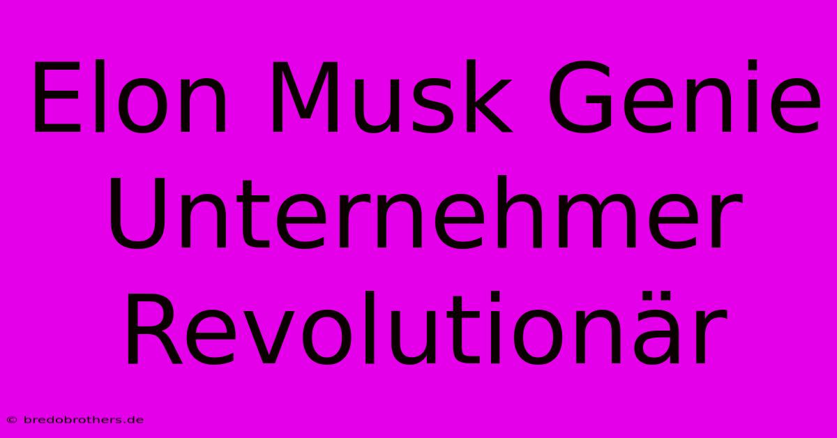 Elon Musk Genie Unternehmer  Revolutionär