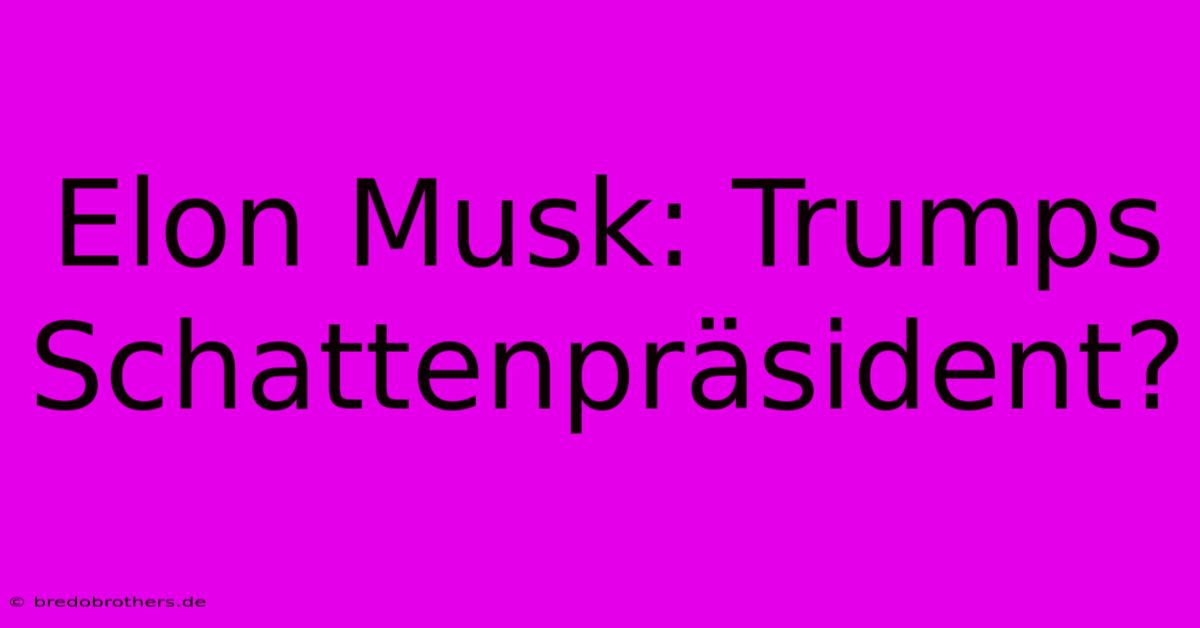 Elon Musk: Trumps Schattenpräsident?