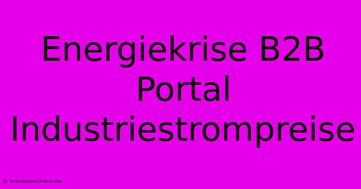 Energiekrise B2B Portal Industriestrompreise