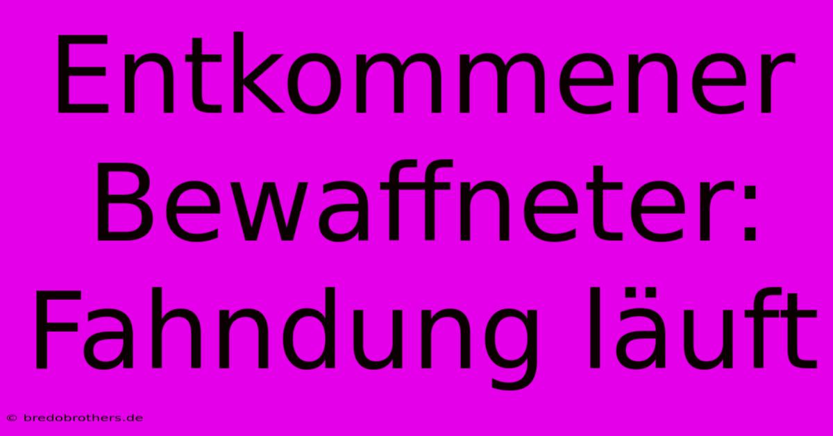 Entkommener Bewaffneter: Fahndung Läuft