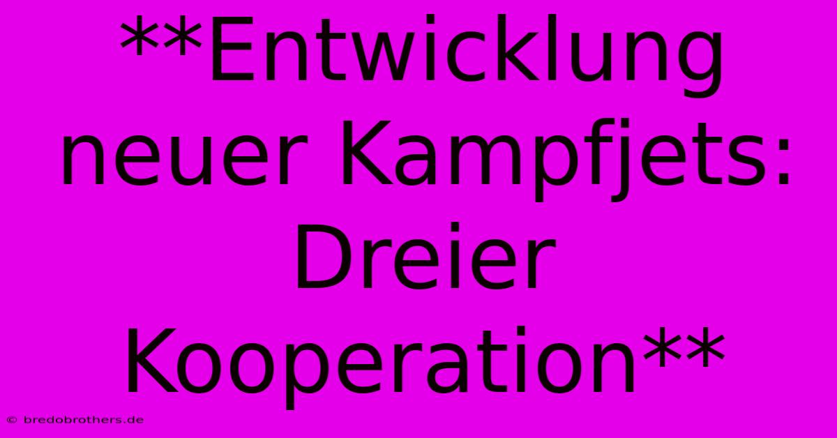 **Entwicklung Neuer Kampfjets: Dreier Kooperation**