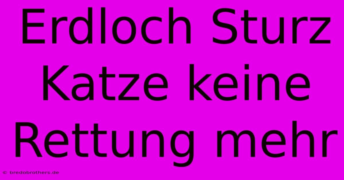 Erdloch Sturz Katze Keine Rettung Mehr