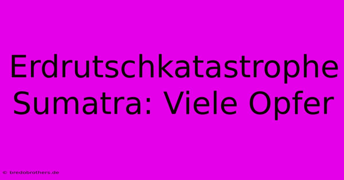 Erdrutschkatastrophe Sumatra: Viele Opfer