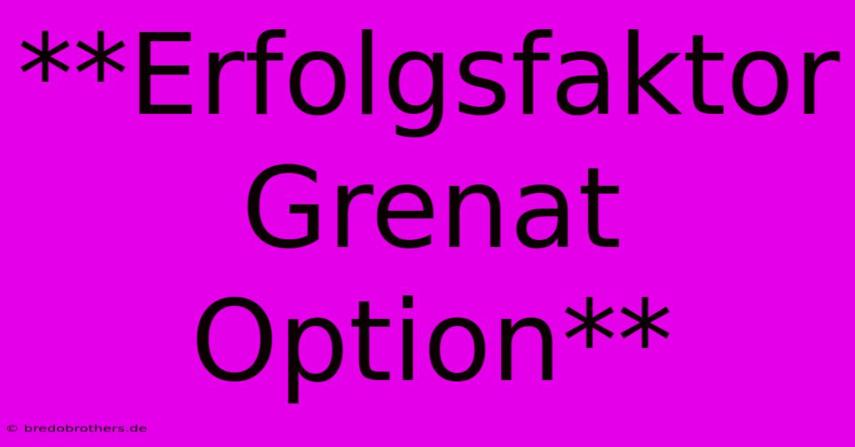 **Erfolgsfaktor Grenat Option**