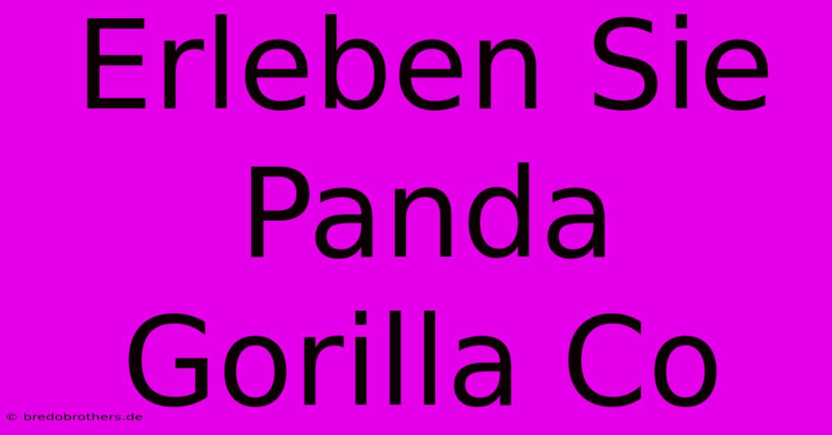 Erleben Sie Panda Gorilla Co