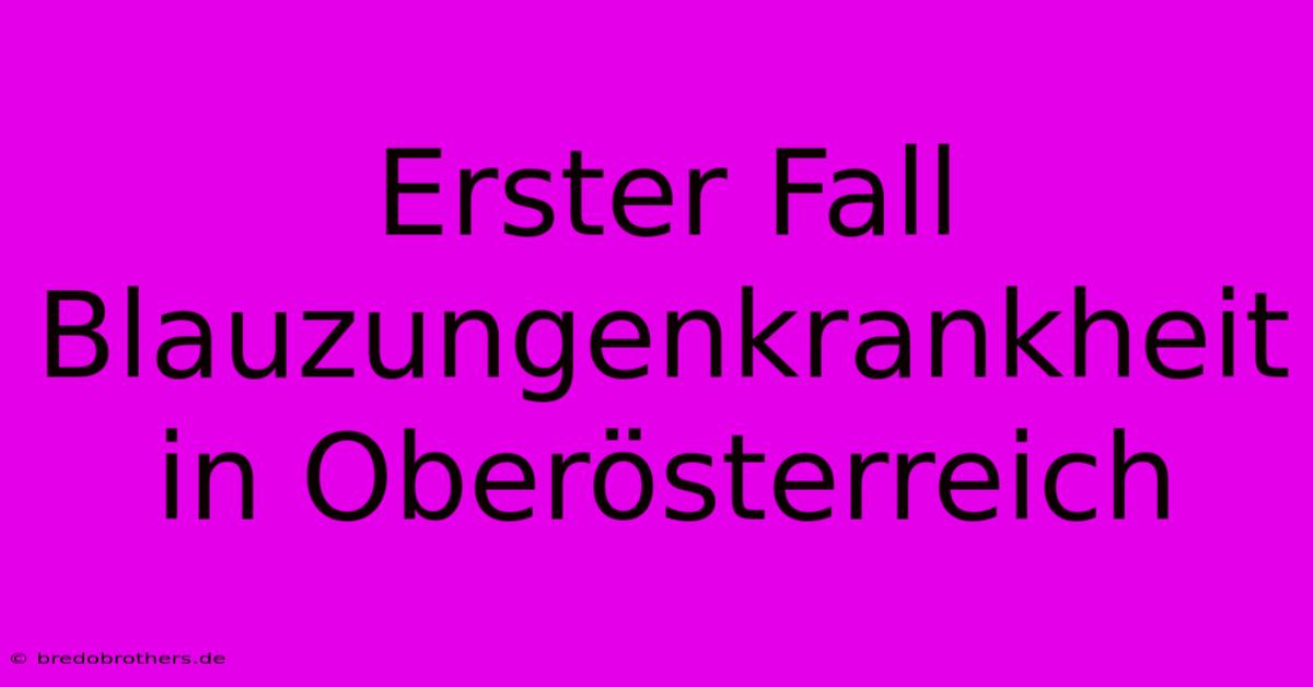 Erster Fall Blauzungenkrankheit In Oberösterreich