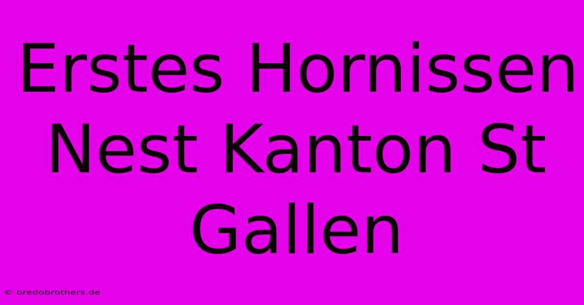 Erstes Hornissen Nest Kanton St Gallen