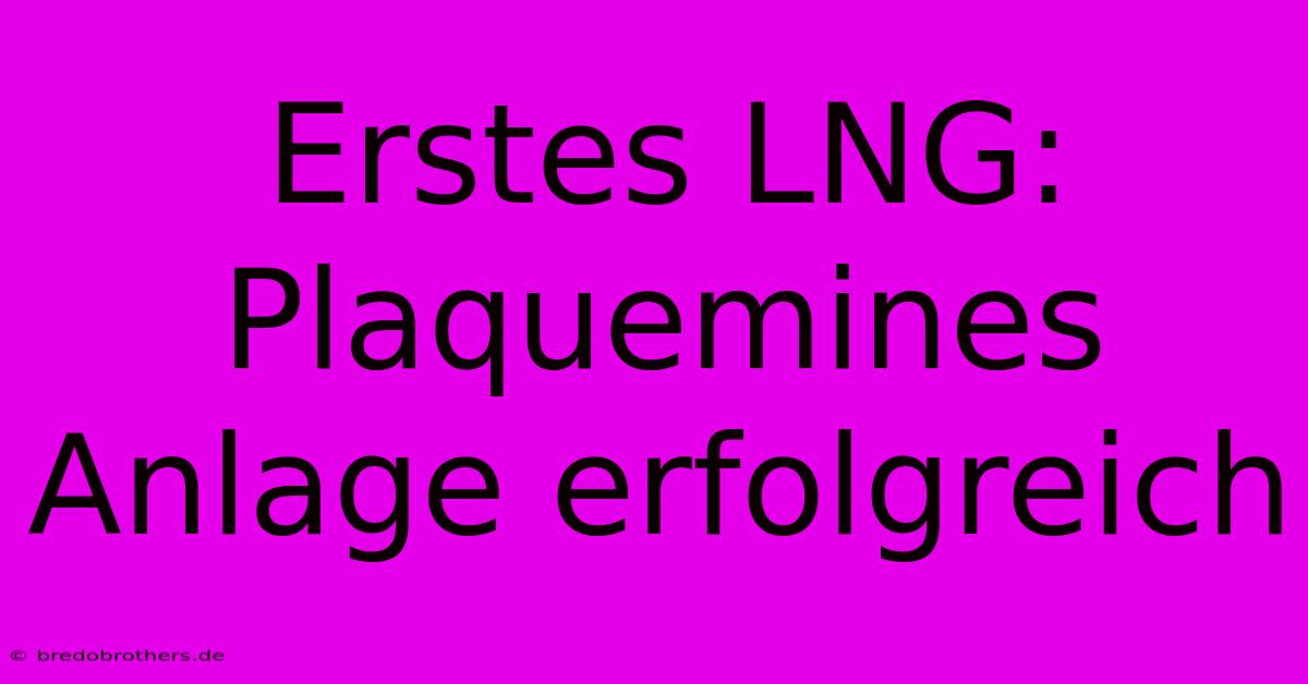 Erstes LNG: Plaquemines Anlage Erfolgreich